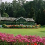 OOTY