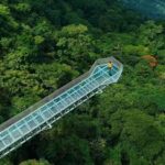 glass bridge-vagmon