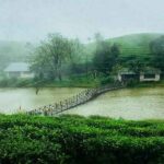 vagmon -lake
