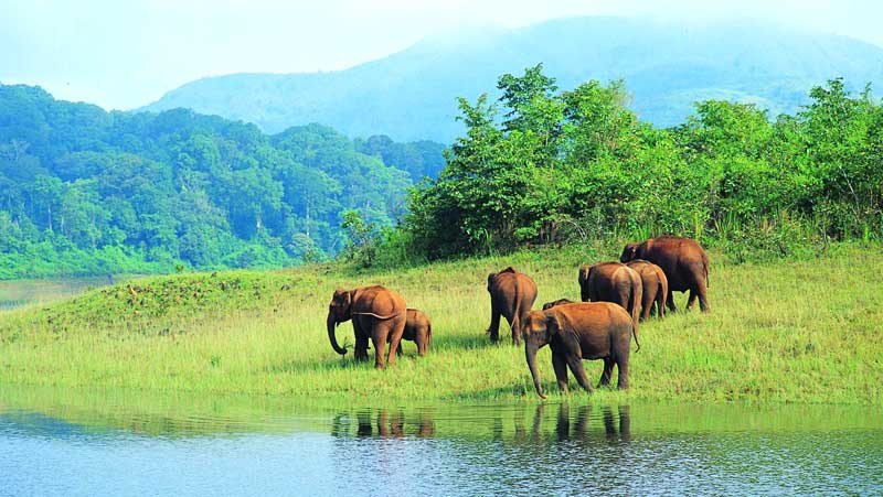 KERALA 12DAYS PACAKGE