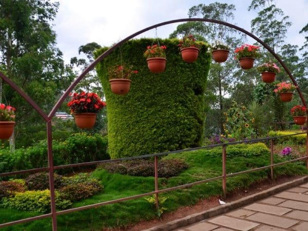 rose-garden,munnar
